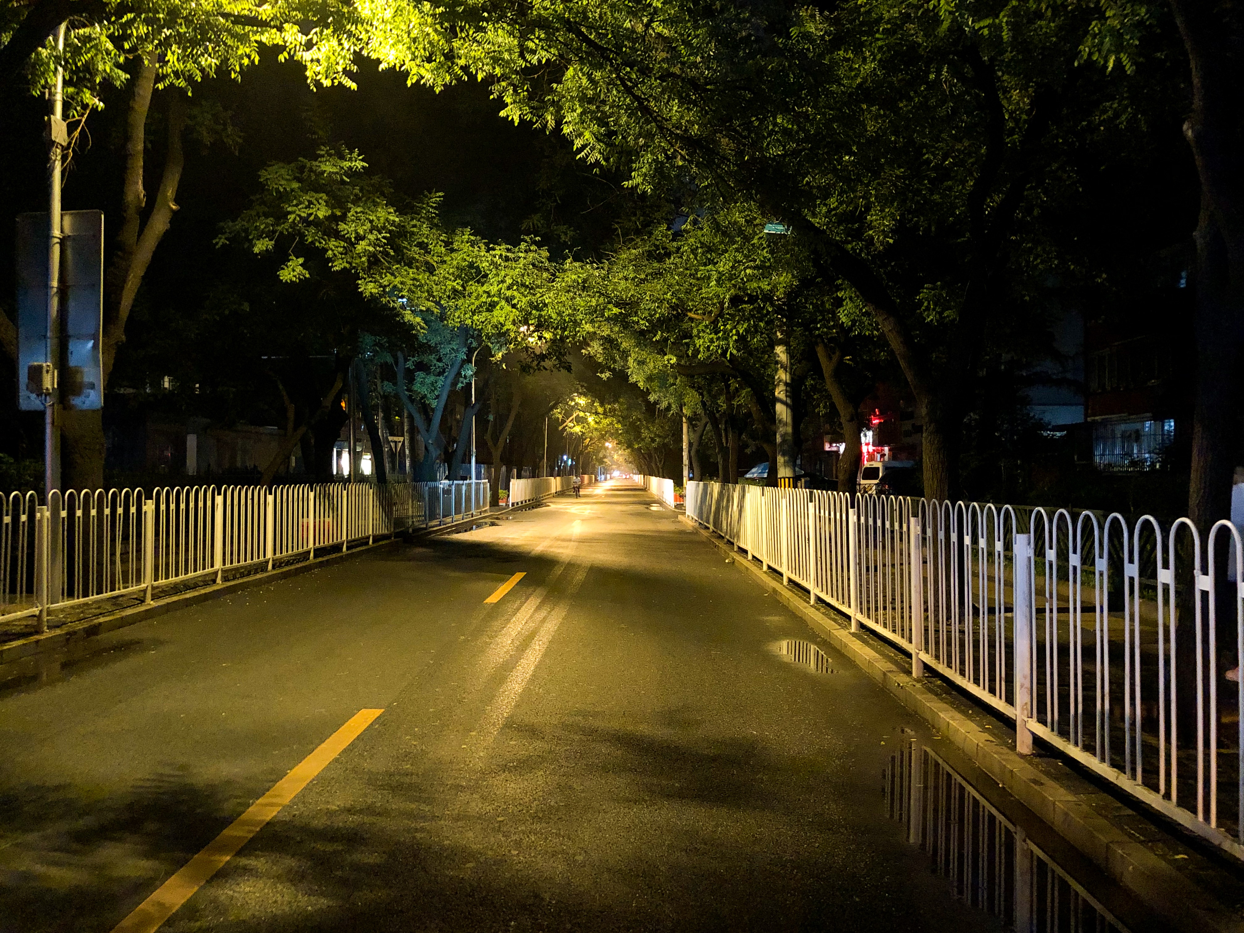 一篇不太像年终总结的年终总结